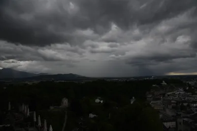 DSC_6375 (Large).JPG